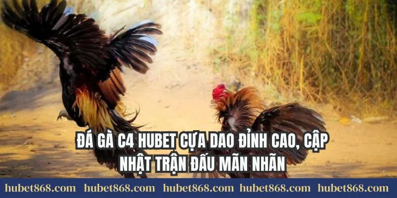 Đá Gà C4 Hubet Cựa Dao Đỉnh Cao, Cập Nhật Trận Đấu Mãn Nhãn