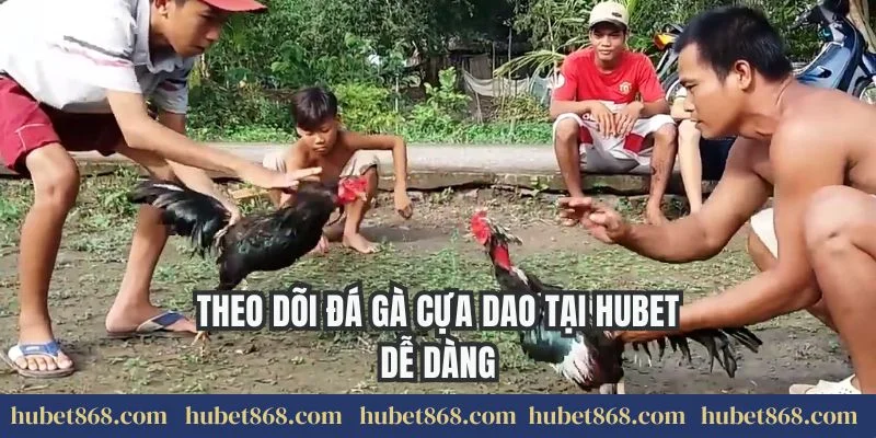 Theo dõi đá gà cựa dao tại Hubet dễ dàng