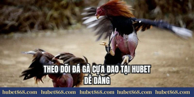 Theo dõi đá gà cựa dao tại Hubet dễ dàng