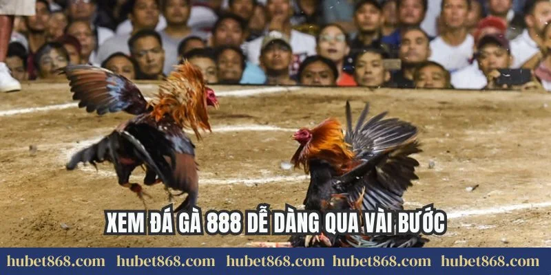 Xem đá gà 888 dễ dàng qua vài bước